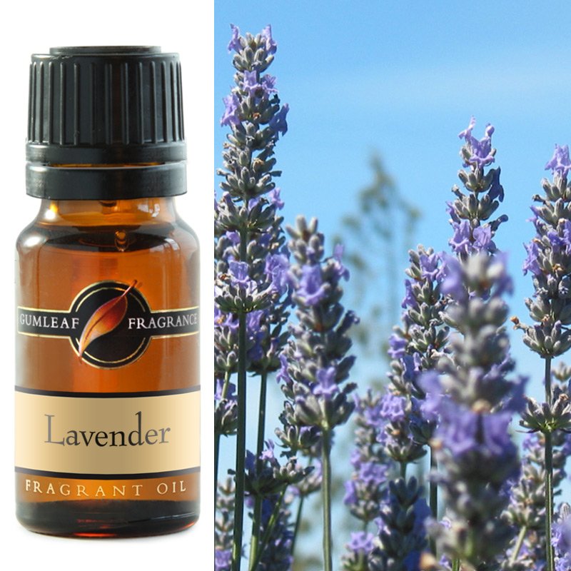 Gumleaf Lavender Fragrant Oil