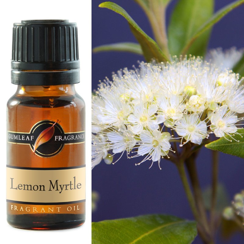 Gumleaf Lemon Myrtle Fragrant Oil