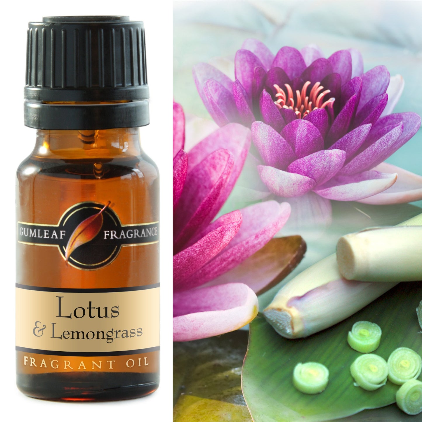 Gumleaf Lotus and Lemongrass Fragrant Oil