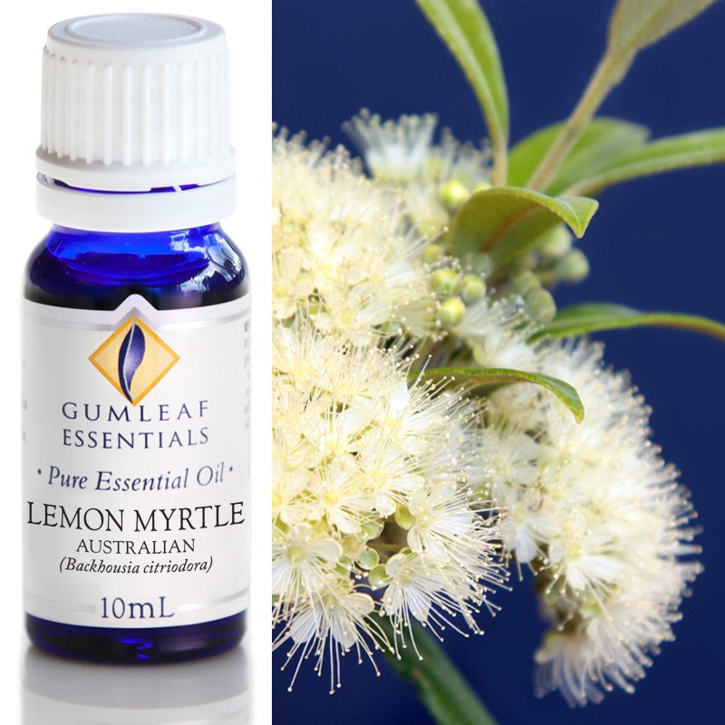 Gumleaf Lemon Myrtle Essential Oil