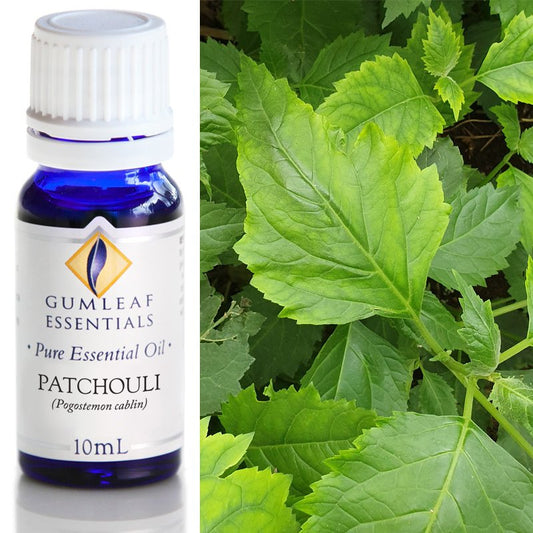 Gumleaf Patchouli Essential Oil