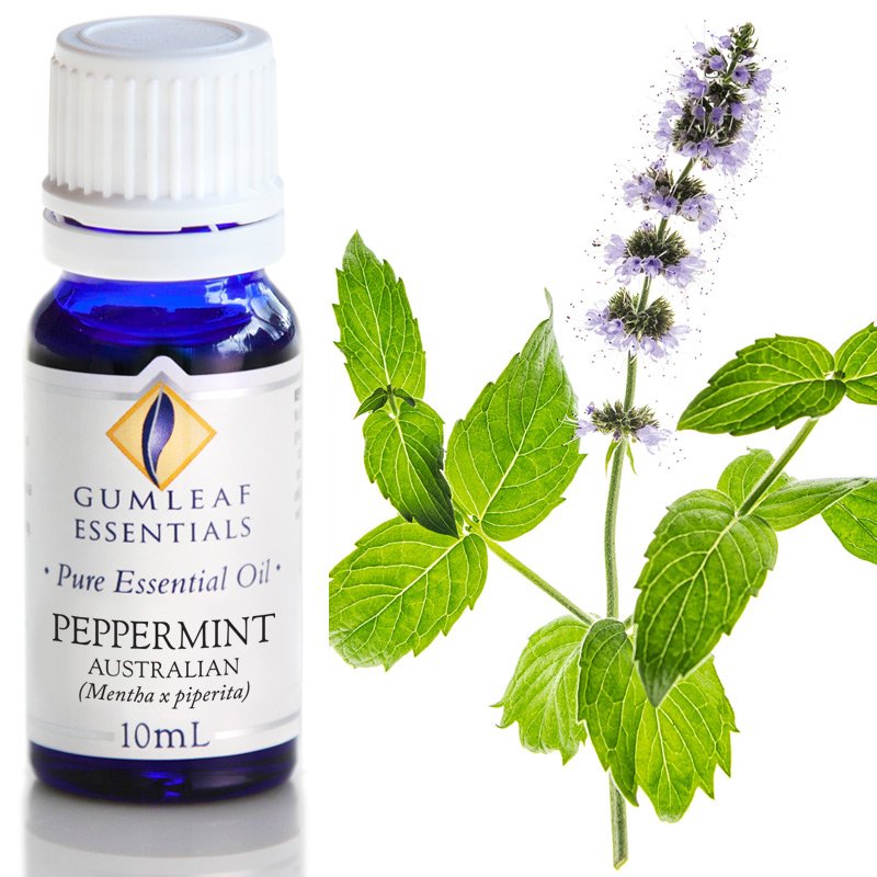 Gumleaf Peppermint Essential Oil