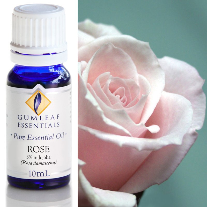 Gumleaf Rose Essential Oil