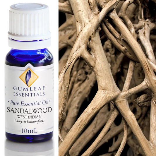 Gumleaf Sandalwood Essential Oil