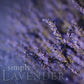 Lavender Reed Diffuser Refill