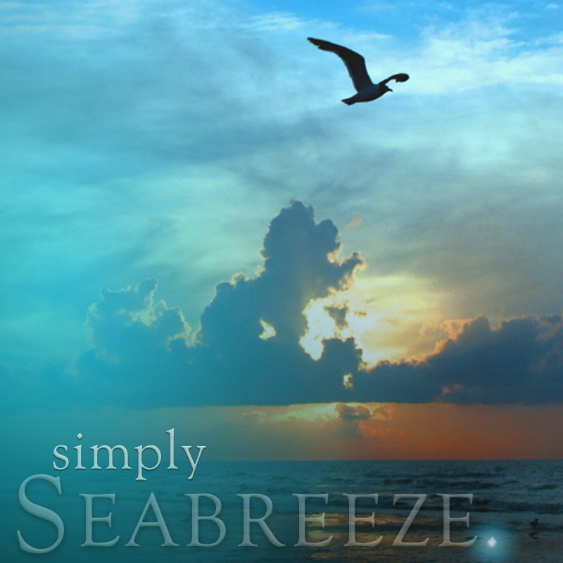 Seabreeze scent cake single